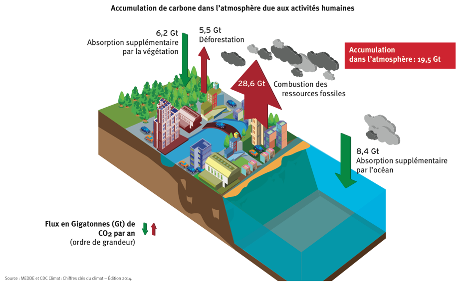 Image accumulation carbone